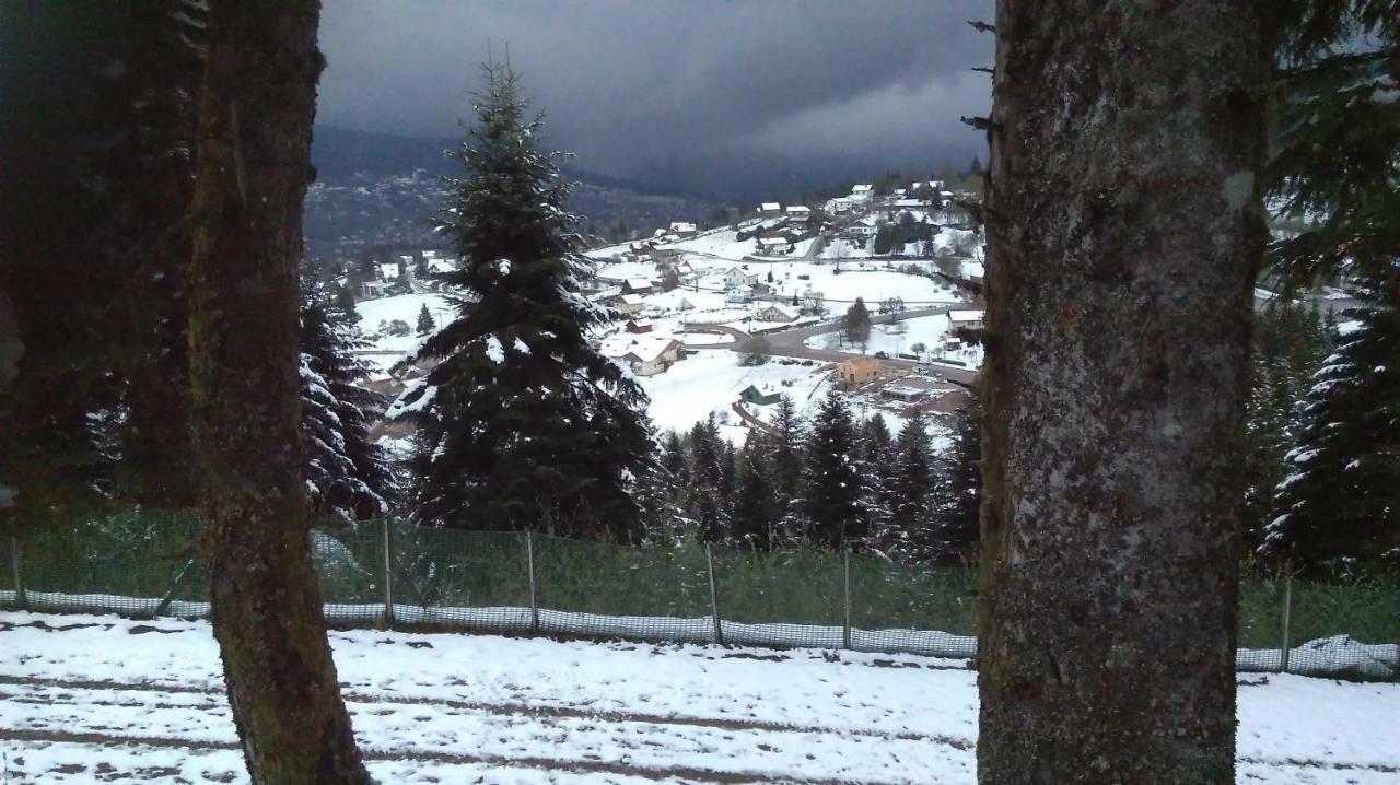 Village Vosgien *